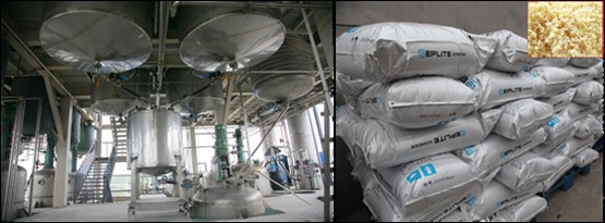 張全興院士應邀舉行《離子交換與吸附樹脂發展歷程與展望》報告會