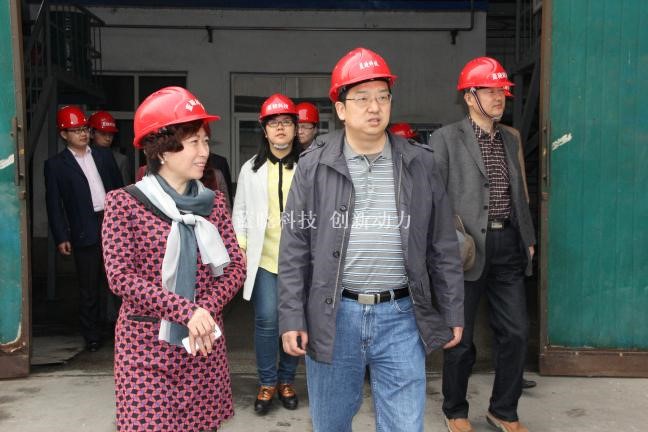 藍曉科技承擔“陜西省重大科技創新項目”通過驗收