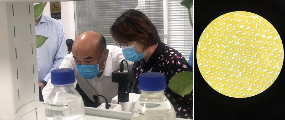 陜西省省長劉國中、西安市市長李明遠一行調研高陵藍曉產業園