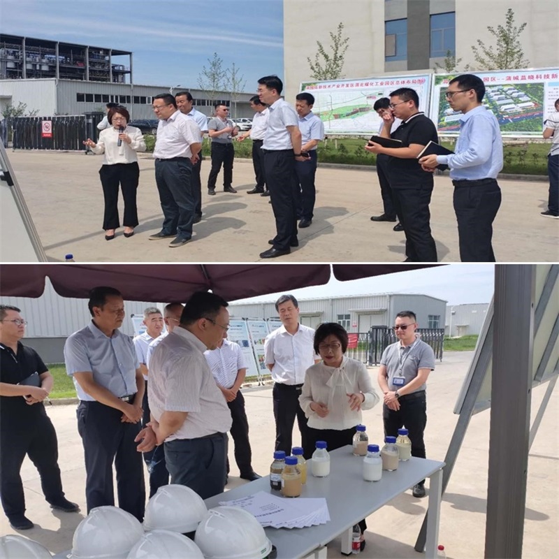 渭南市市長(zhǎng)王琳一行調(diào)研蒲城藍(lán)曉新材料產(chǎn)業(yè)園項(xiàng)目