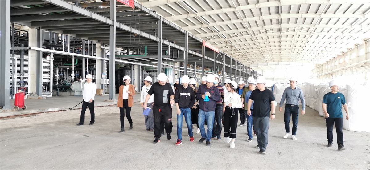 “藍(lán)曉科技鹽湖提鋰技術(shù)——走進(jìn)錦泰項(xiàng)目”圓滿舉行