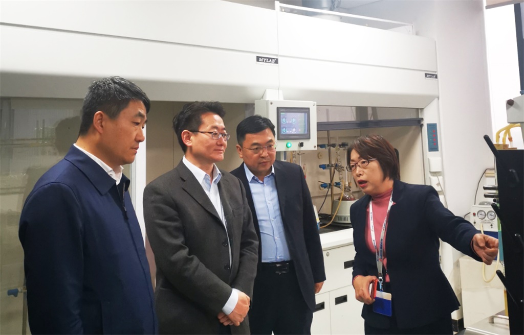 延安市副市長高昕昱同志一行來公司考察指導工作